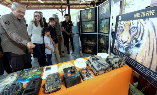 PK04_03082019_HARIMAU_BN201907296559
