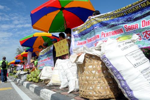 PK04_05082015_PEKEBUN