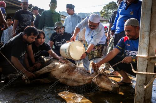 SAMBUTAN AIDILADHA