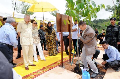 PK04_07112013_NAZRIN_POKOK