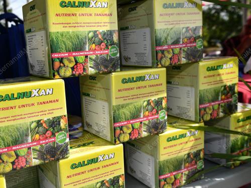 BAJA CALNUXAN