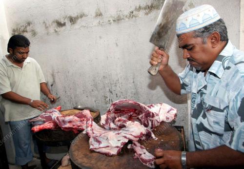 KORBAN KAMBING