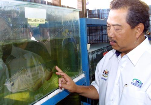 TAN SRI MUHYIDDIN YASSIN
