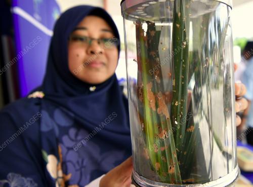 LAWATAN KERJA TIMBALAN MENTERI PERLADANGAN DAN KOMODITI