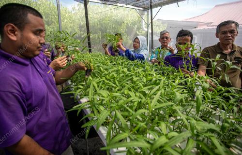 PERSATUAN UNTUK INSAN BERMASALAH INTELEK PERAK