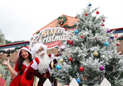 TINJAUAN PERSIAPAN HARI KRISMAS