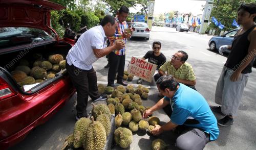 PK04_12062016_DURIAN