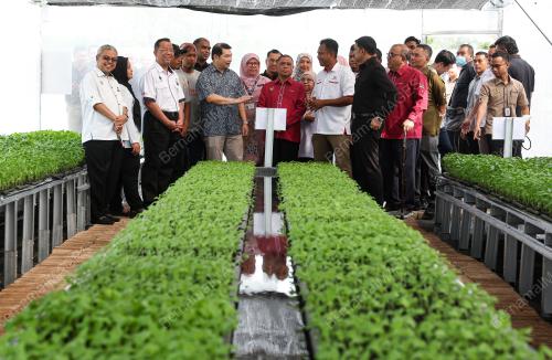RAFIZI RAMLI