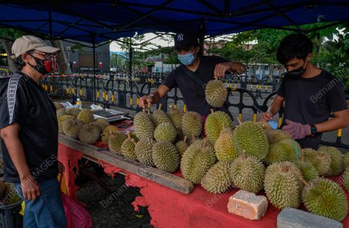 PENIAGA RAJA BUAH CEKAL BERNIAGA KETIKA TEMPOH PKP
