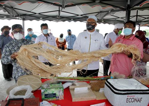 DATUK DR MOHD KHAIRUDDIN AMAN RAZALI