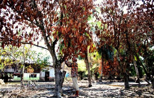 PK04_18012015_BANJIR