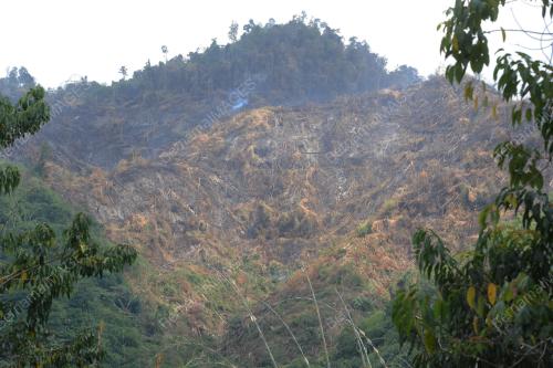 PK04_18022014_TERBAKAR