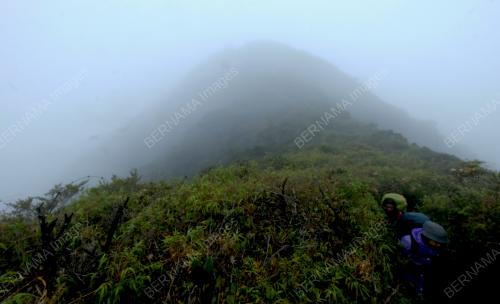 KONSERVASI GUNUNG KORGA 2022