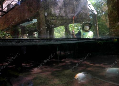 LOST WORLD PETTING ZOO DIBUKA SEMULA