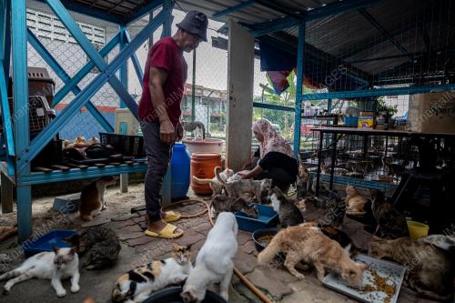 AKTIVIS_KUCING