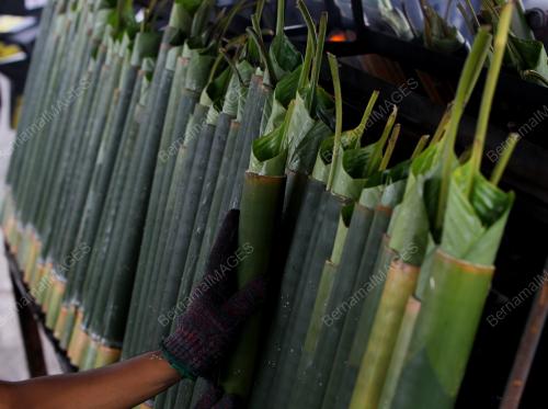 LEMANG DAUN LEREK
