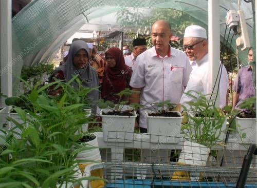 TAMAN HERBA DAN SAYUR-SAYURAN