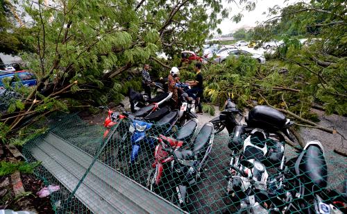 PK04_24042017_POKOK