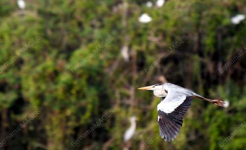 PK04_25072018_TAMAN_ALAM