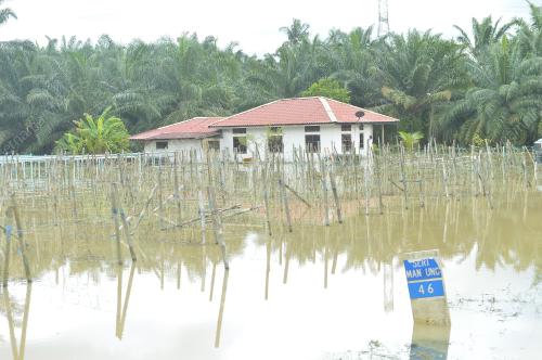 PK04_26012017_BANJIR