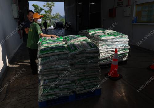 JUALAN BERAS PUTIH TEMPATAN