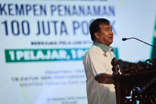 DATUK ALI BIJU