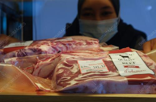 TINJAUAN ISU DAGING IMPORT