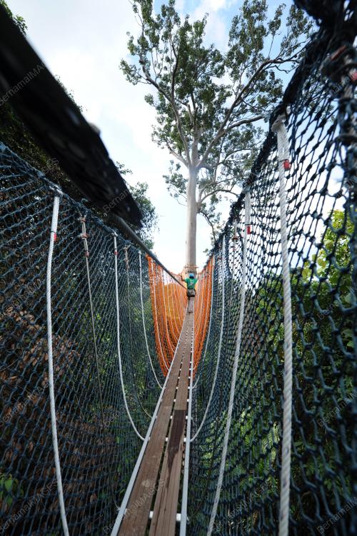 PK04_30072016_BUKIT_MERAH