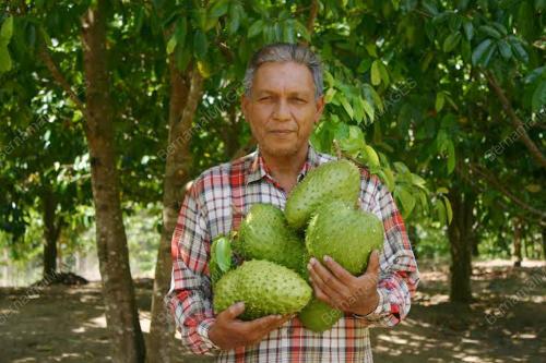 PK04_31032016_DURIAN