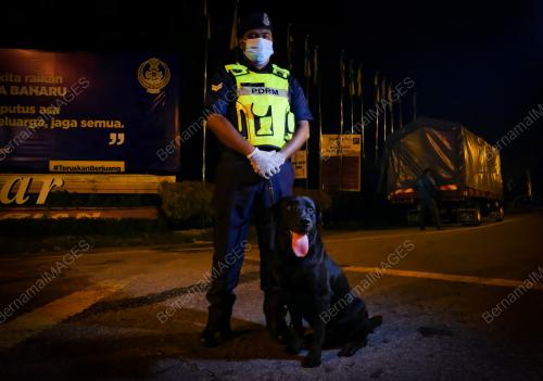 PENGLIBATAN UNIT K9 DI SEKATAN JALAN RAYA