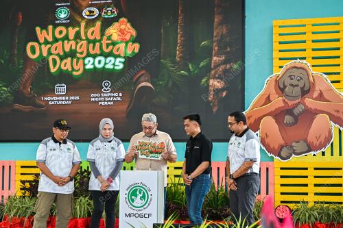 SAMBUTAN HARI ORANG UTAN SEDUNIA