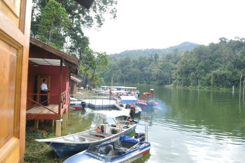 PK05_02022012_HUTAN_BELUM