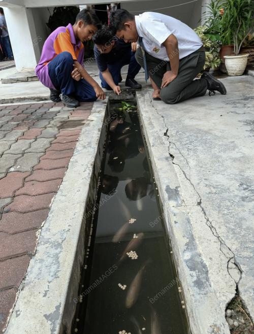 PK05_02102019_IKAN_BN201910012892