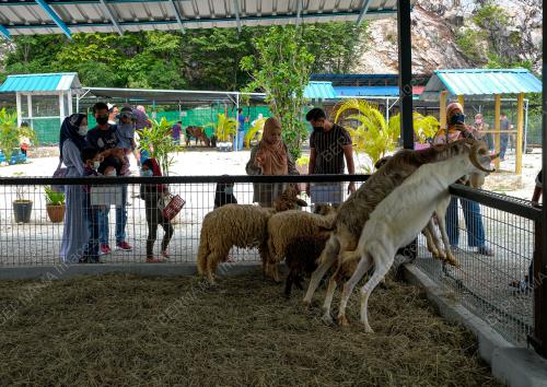 TINJAUAN OPERASI MINI ZOO