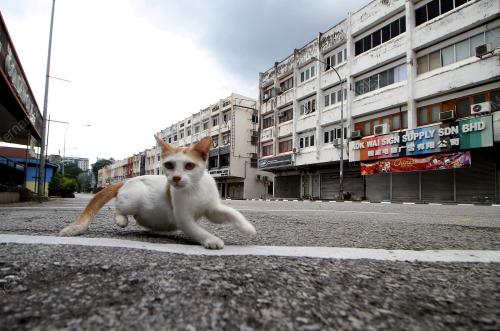 JALAN LENGANG