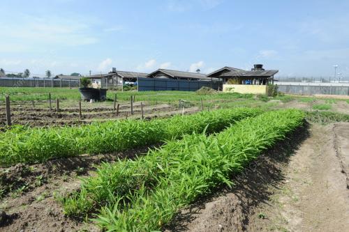 PK05_06012014_PENJARA