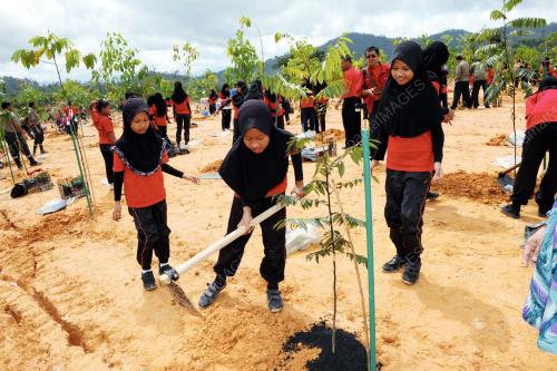 PK05_07112013_PELAJAR_POKOK