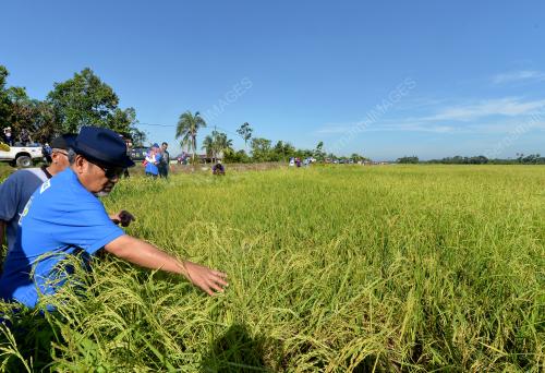 PK05_09042017_TAJUDDIN