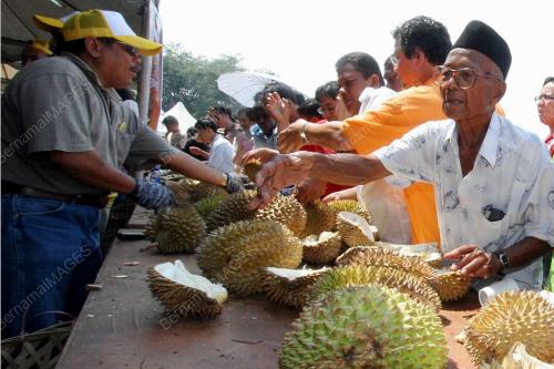 PESTA JOM MAKAN DURIAN