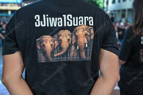HIMPUNAN SELAMATKAN DAK
