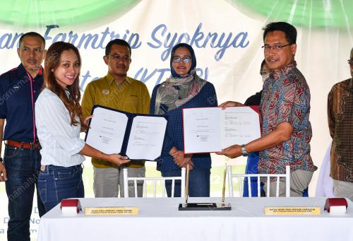 DATUK NOLEE ASHILIN MOHAMED RADZI
