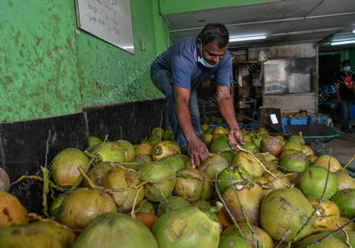 JUALAN KELAPA MENJELANG PERAYAAN THAIPUSAM