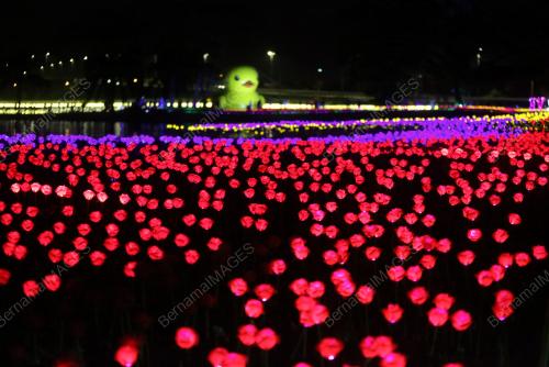 PESTA FLORA BERLAMPU DI SILVERLAKE VILLAGE OUTLET