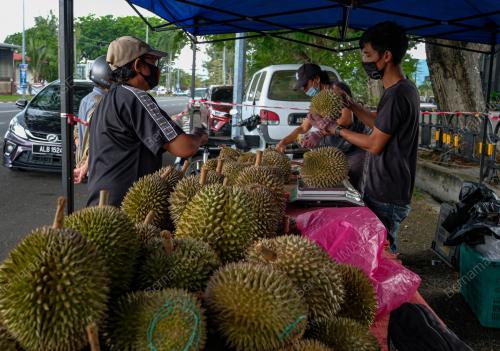 PENIAGA RAJA BUAH CEKAL BERNIAGA KETIKA TEMPOH PKP