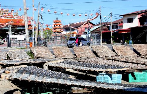 IKAN MASIN