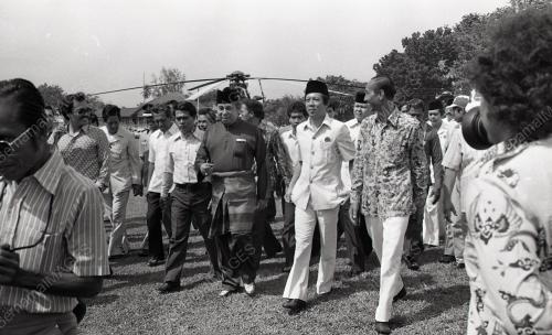 MUSA HITAM