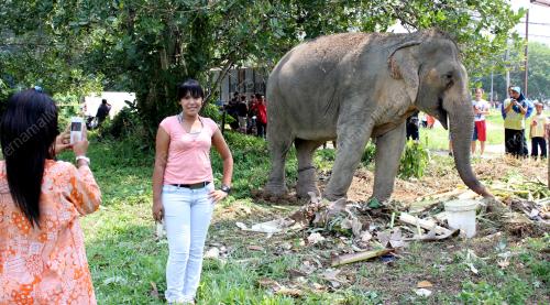 PK05_16062012_GAJAH