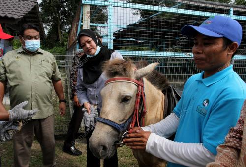 DATUK NOLEE ASHILIN MOHAMMED RADZI