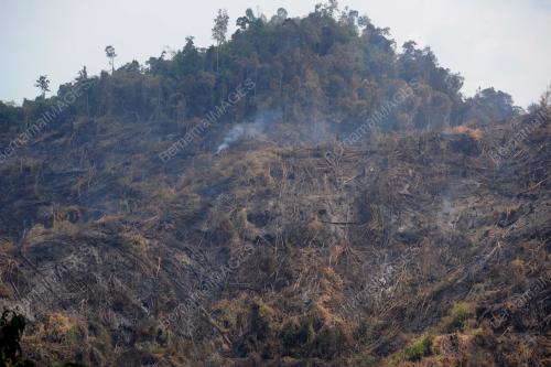 PK05_18022014_TERBAKAR