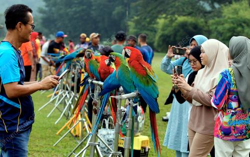 SILATURAHIM SANTAI FREE FLY